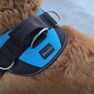ShawnCo XL Blue and Black Dog Harness